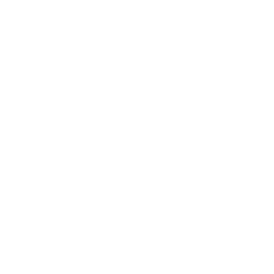 De Asserstadsloop